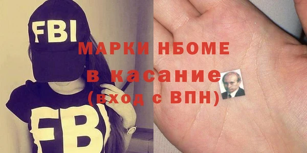 хмурый Алексин