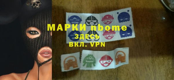 хмурый Алексин