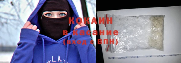 хмурый Алексин