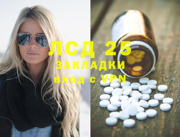 хмурый Алексин